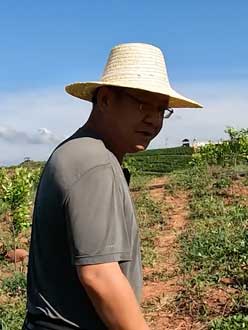 农业人叶涛，50多岁通讯人跨界搞农业，他要用1000万打造一个梦。